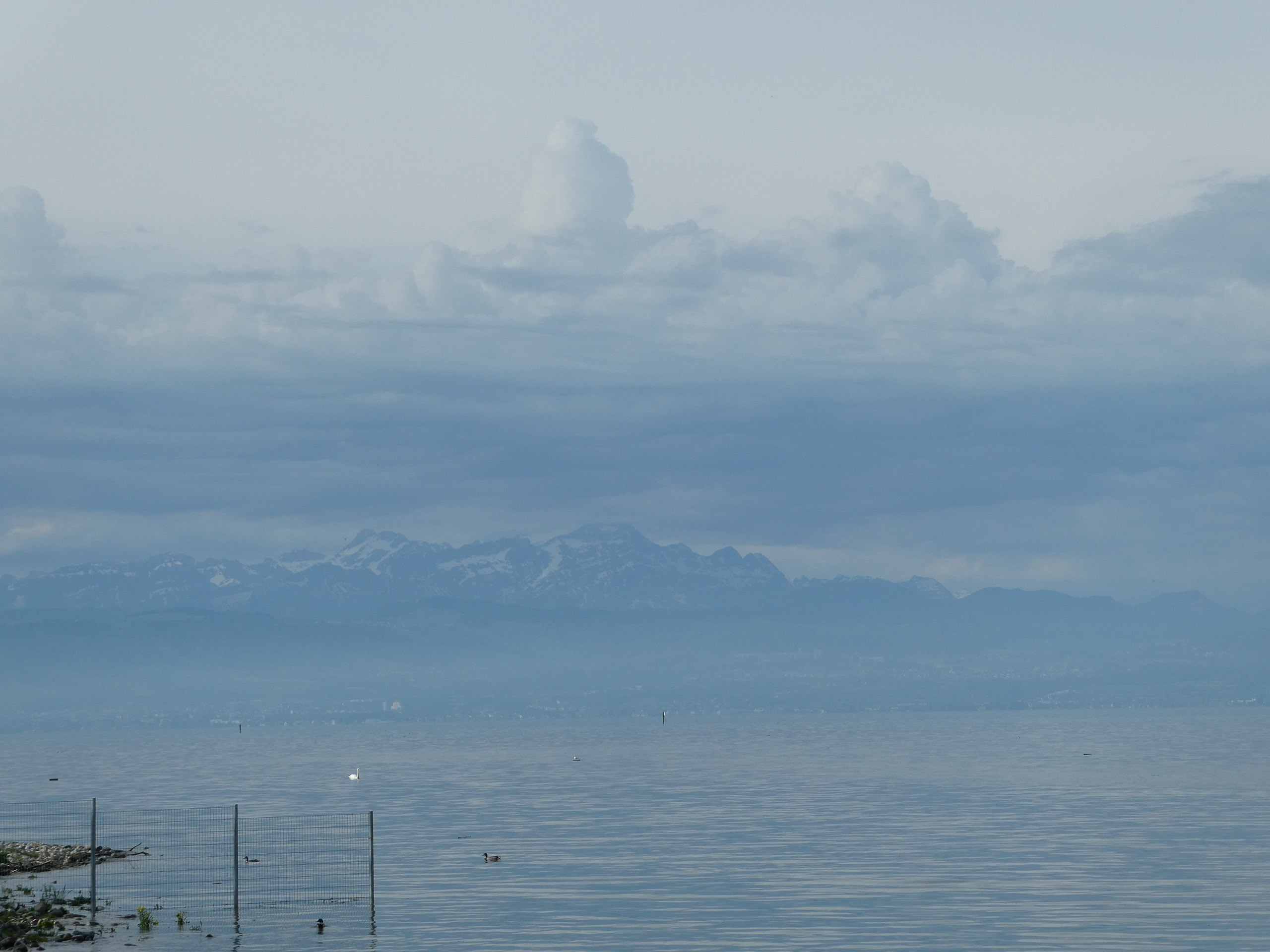 20230507092026 P1000221